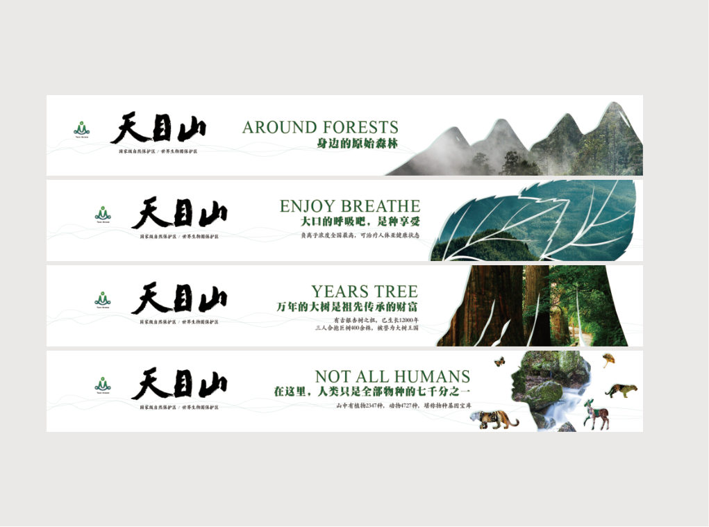 天目山文旅系列创意海报